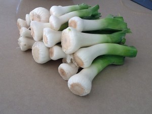 Leeks from the garden