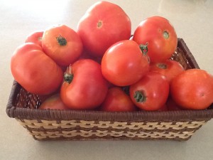 Home grown tomatoes