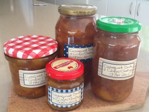 Cumquat Date and Ginger Chutney width=